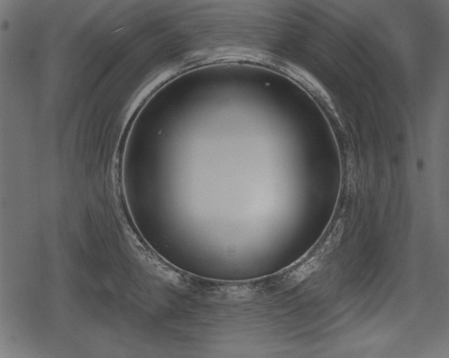 X0000078291190200611031224