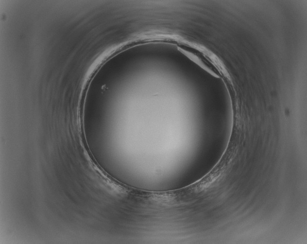 X0000078291191200611031224