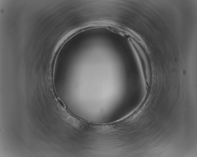 X0000078291192200611031224