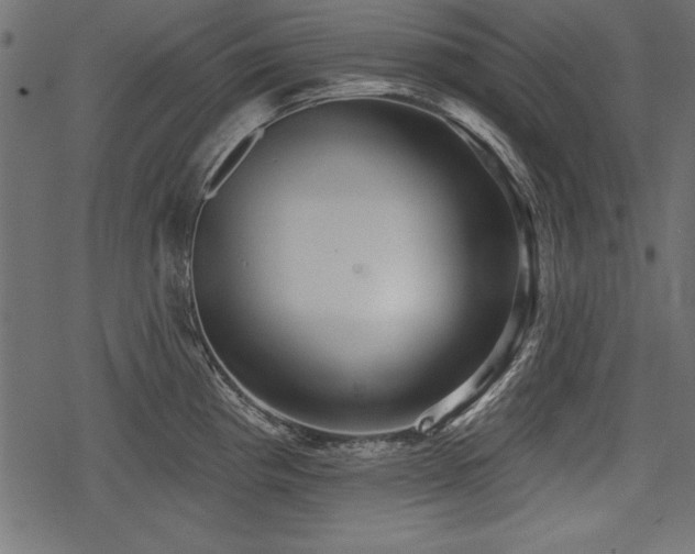 X0000078291193200611031224