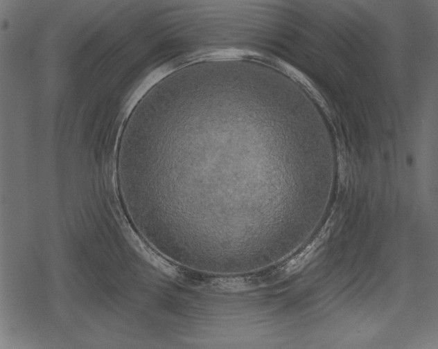 X0000078291194200611031224