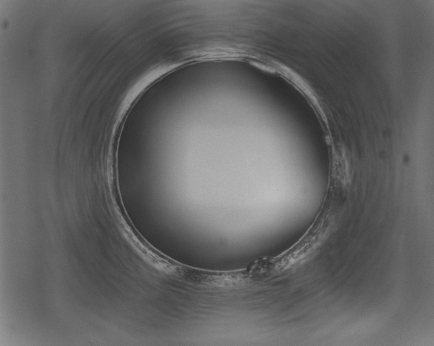 X0000078291195200611031224