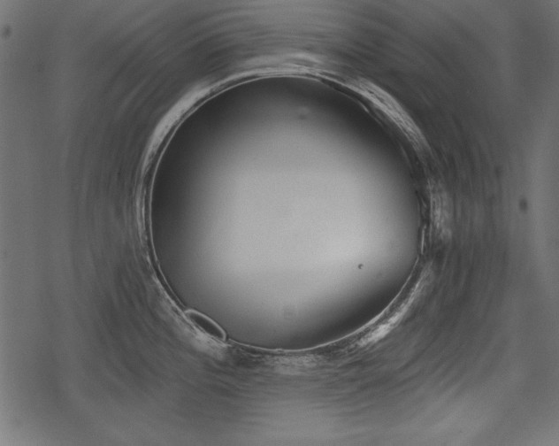 X0000078291196200611031224