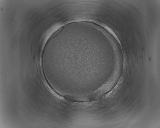 X0000078291197200611031224