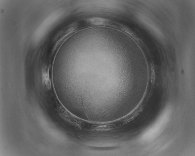 X0000078291198200611031224