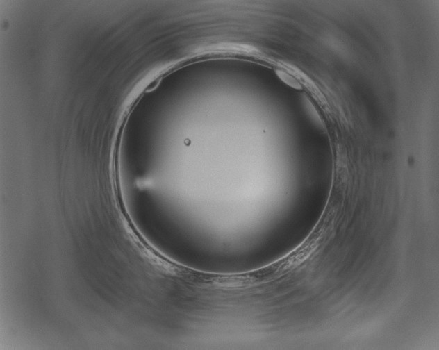 X0000078291199200611031224