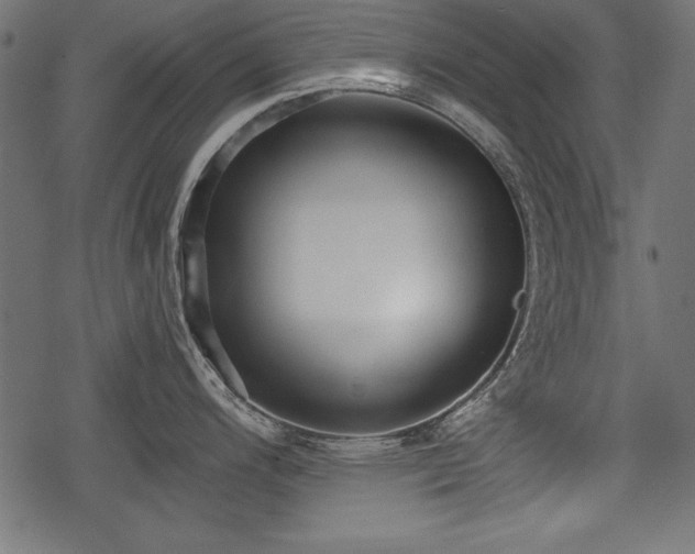 X0000078291200200611031224