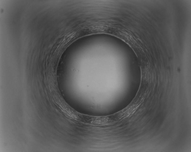 X0000078291201200611031223