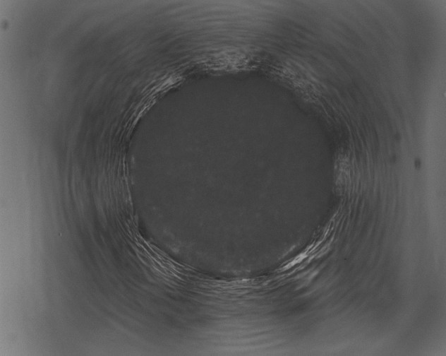 X0000078291202200611031223