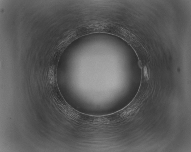 X0000078291203200611031223