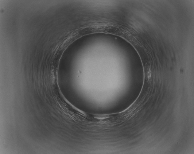 X0000078291204200611031223