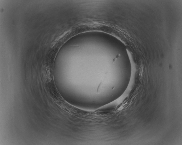 X0000078291205200611031223