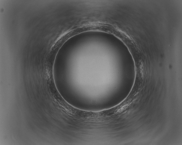 X0000078291206200611031223