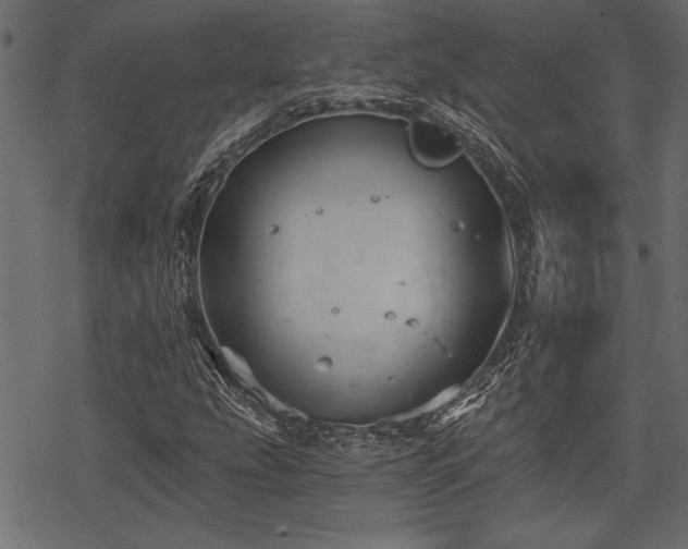 X0000078291207200611031223