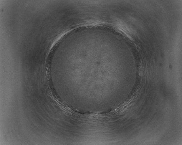 X0000078291208200611031223