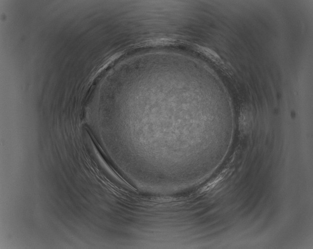 X0000078291209200611031223