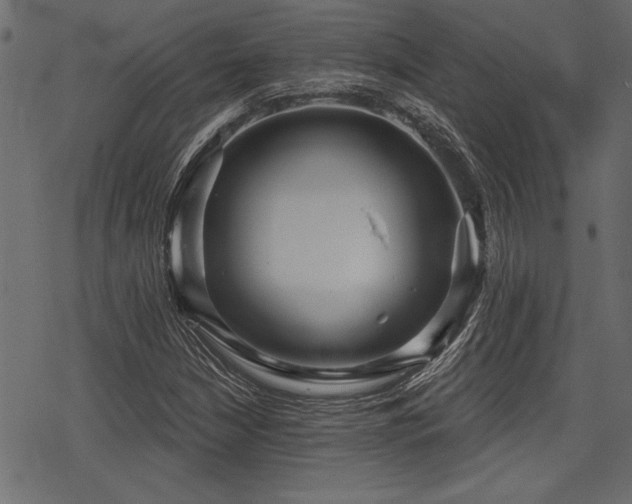 X0000078291210200611031223