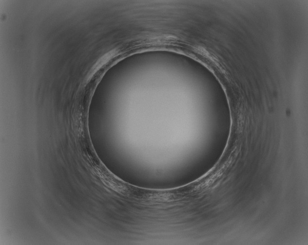 X0000078291211200611031223