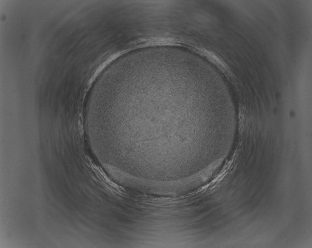 X0000078291212200611031223