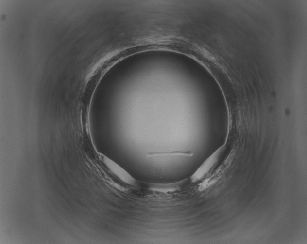 X0000078291214200611031223