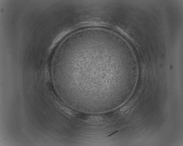 X0000078291215200611031223