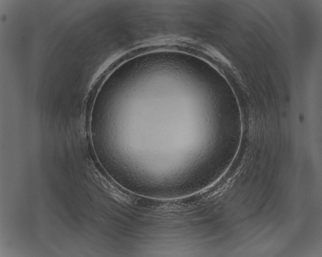 X0000078291216200611031223