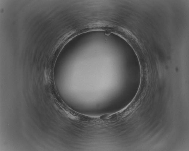 X0000078291217200611031223