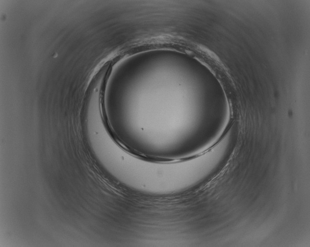 X0000078291218200611031223