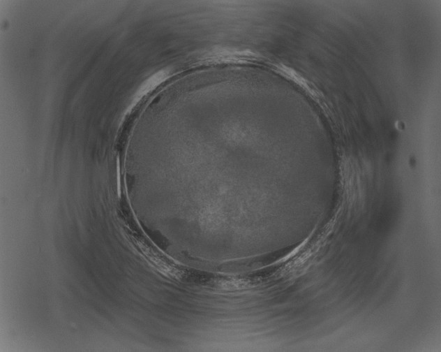 X0000078291219200611031223