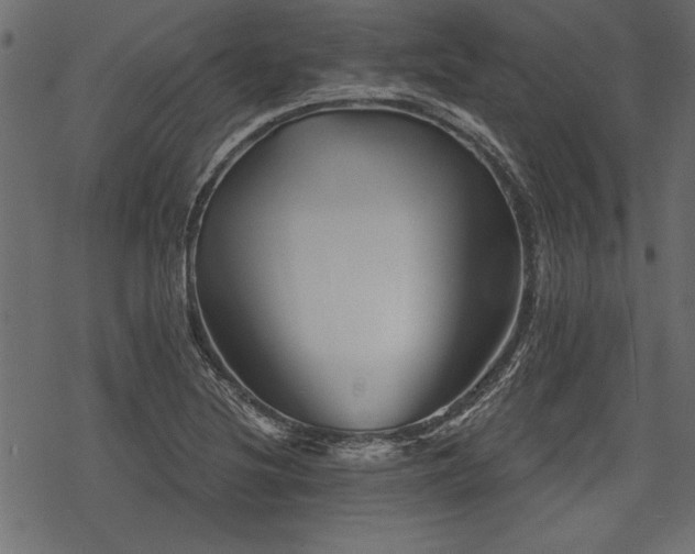 X0000078291220200611031223