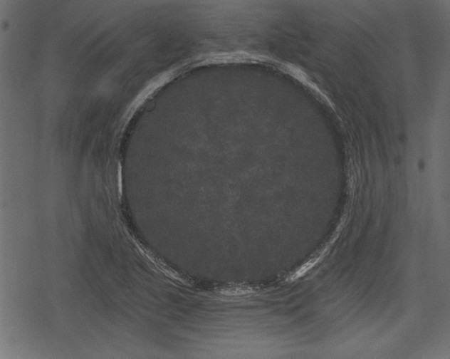 X0000078291221200611031223