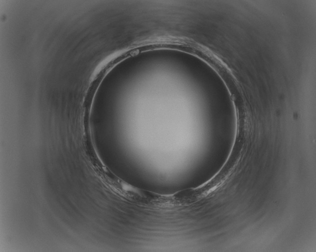 X0000078291222200611031223