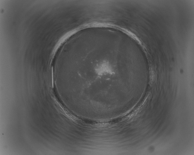 X0000078291223200611031223