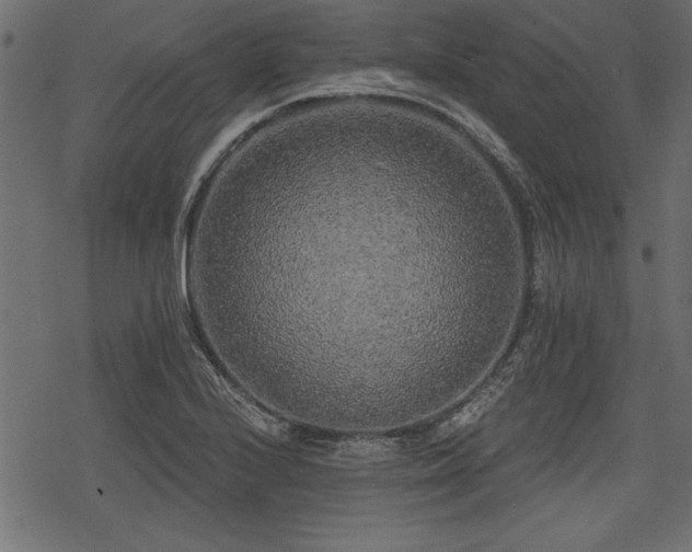 X0000078291224200611031223