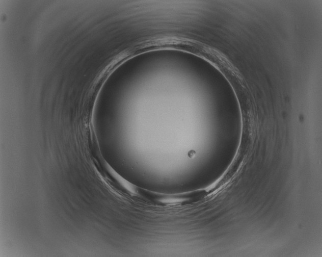 X0000078291225200611031223