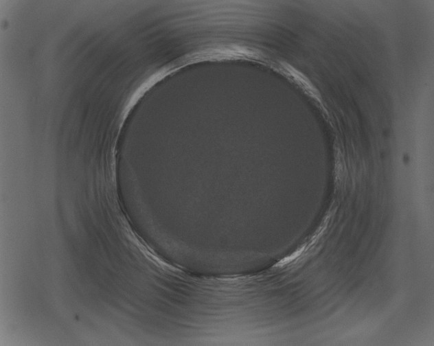 X0000078291226200611031223