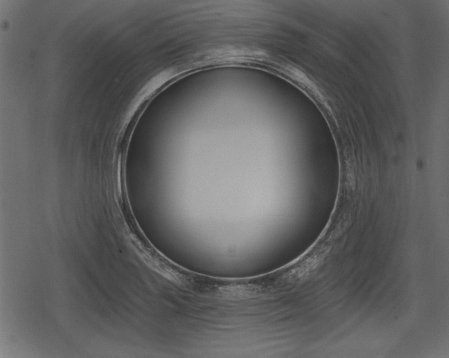 X0000078291227200611031223