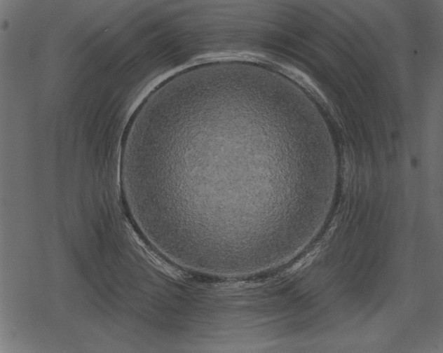 X0000078291228200611031223