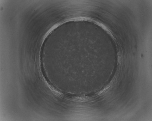 X0000078291229200611031223