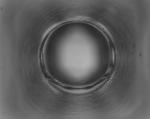 X0000078291230200611031223