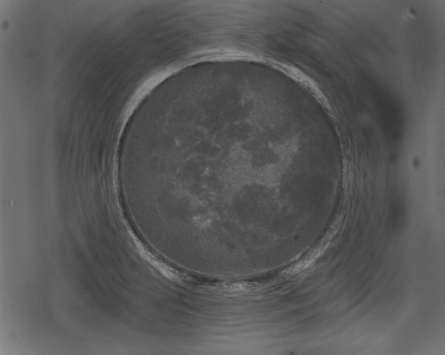 X0000078291231200611031223