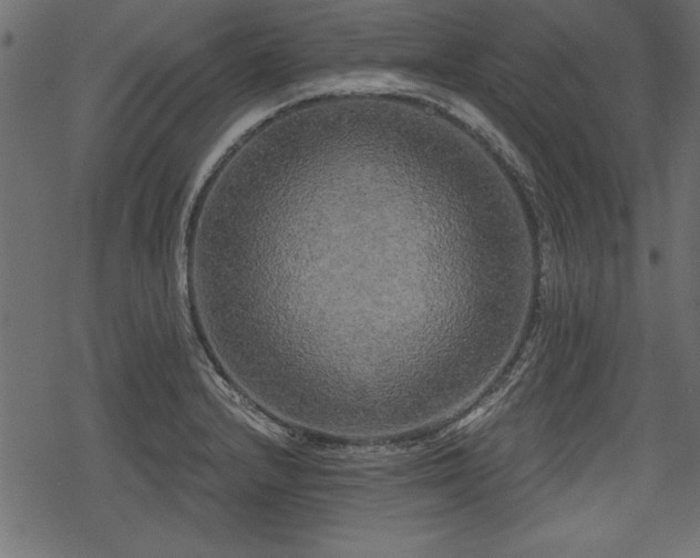 X0000078291232200611031223