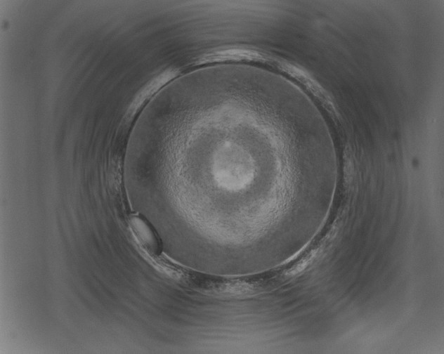 X0000078291233200611031223