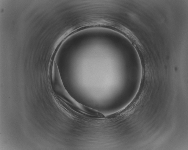 X0000078291234200611031223