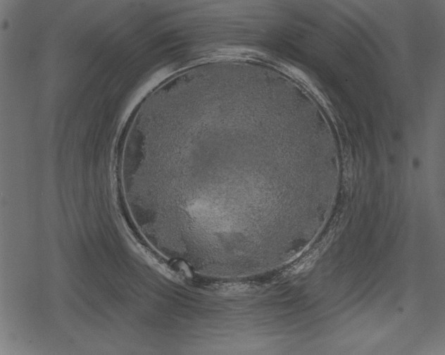 X0000078291235200611031223