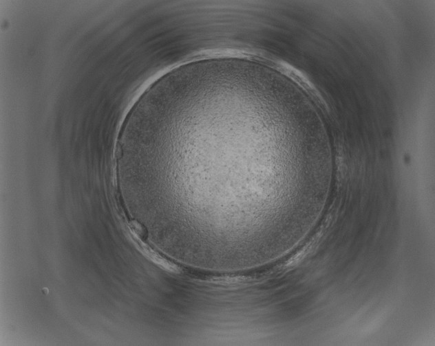 X0000078291236200611031223