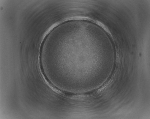 X0000078291237200611031223