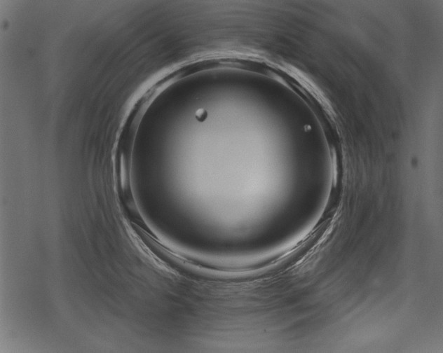 X0000078291238200611031223