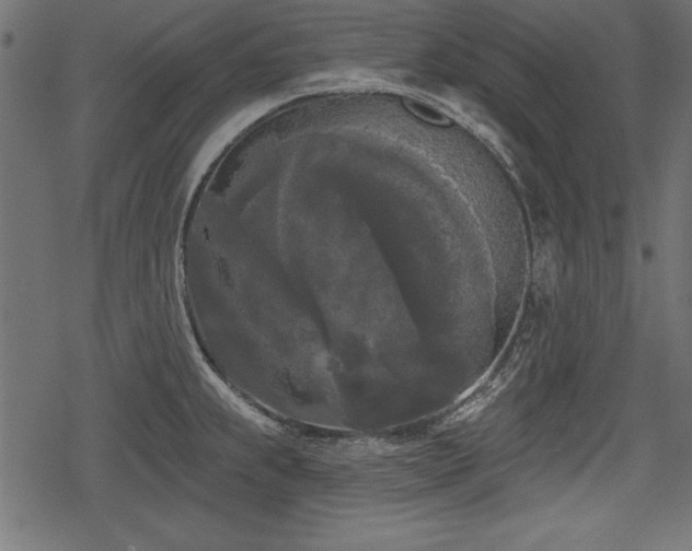 X0000078291239200611031223