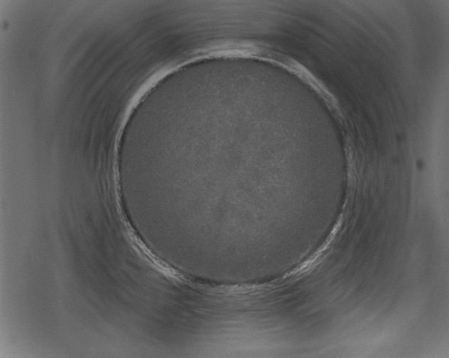 X0000078291240200611031223